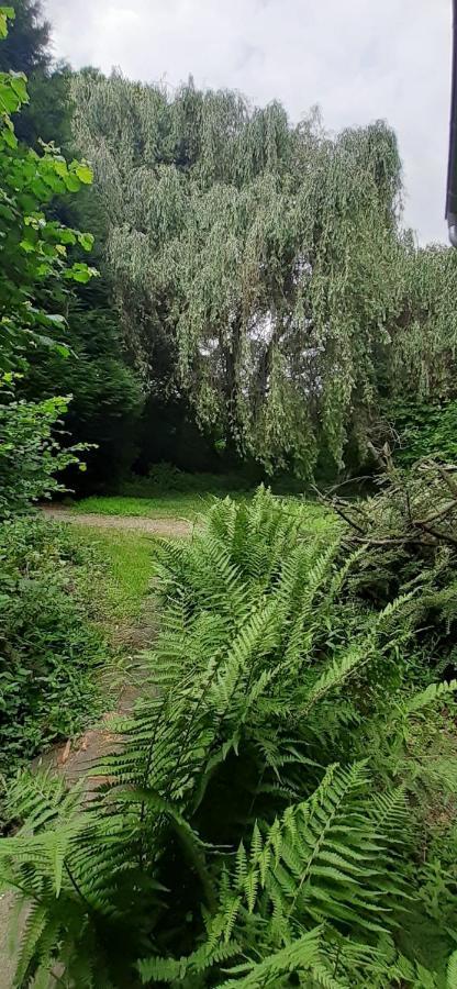 Fewo Im Naturschutzgebiet Hiddenhausen Extérieur photo