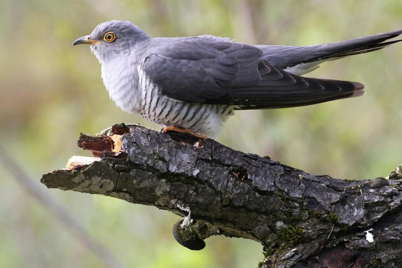 Fewo Im Naturschutzgebiet Hiddenhausen Extérieur photo