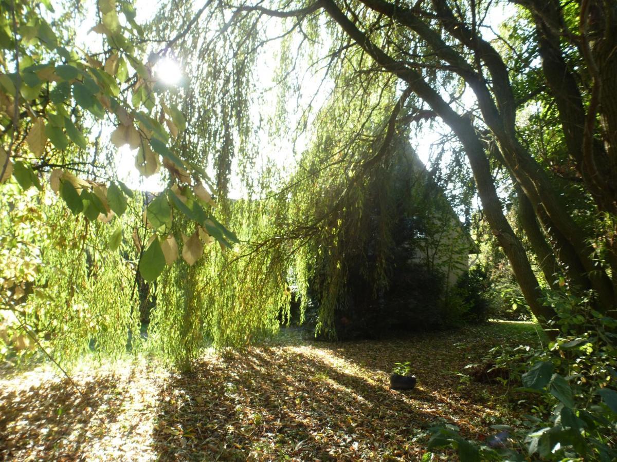 Fewo Im Naturschutzgebiet Hiddenhausen Extérieur photo